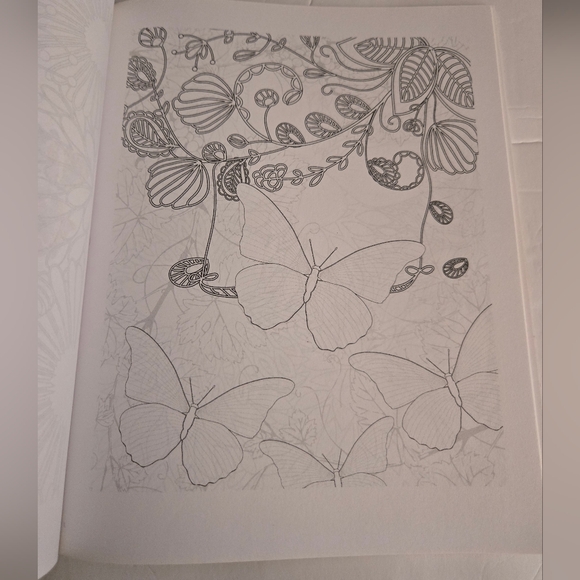 Bundle/3 Butterfly Adult Coloring Books - Picture 5 of 16